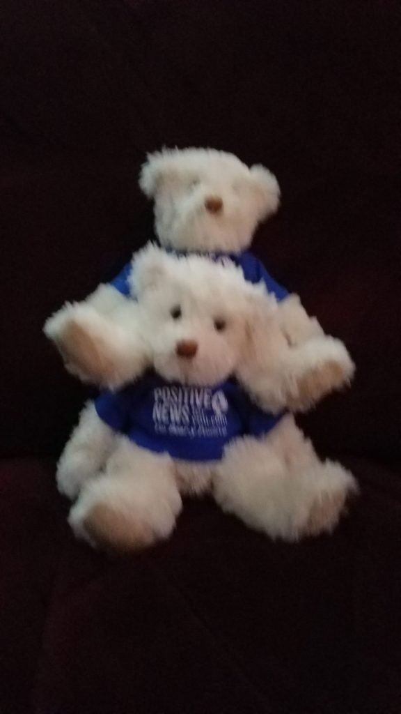 2 bears scaled