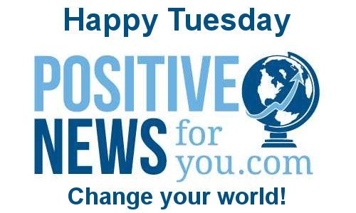 Tuesday 19