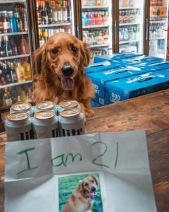 Dog tries to buy beer