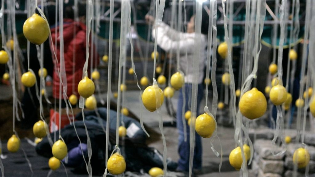 lemons 1