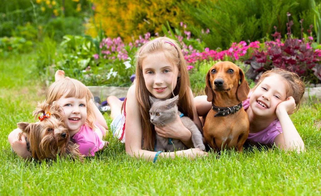 pets are good for kids