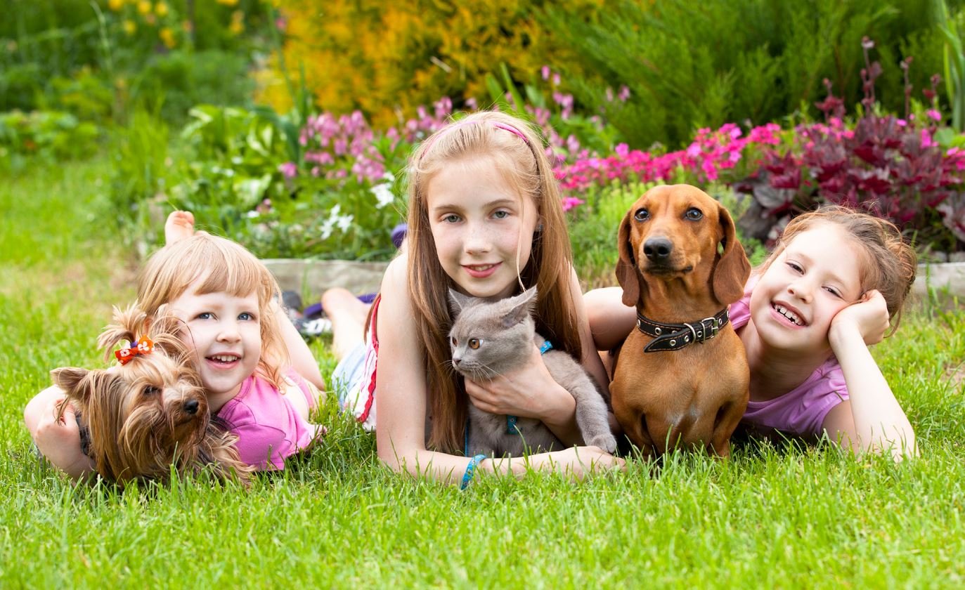 pets are good for kids 2
