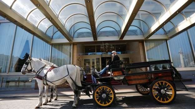 Horse and carriage
