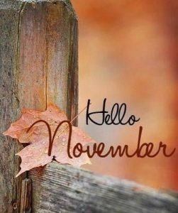 Hello November