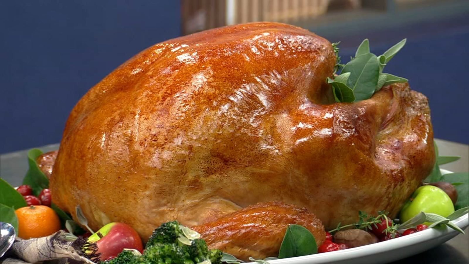 Happy Thanksgiving! Turkey