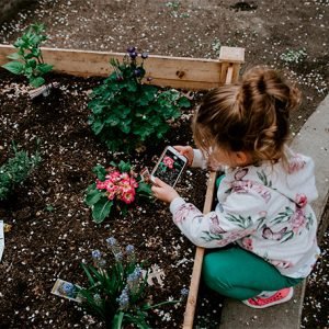 Gardening tricks