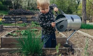 Gardening with kids