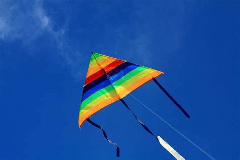Fly a kite