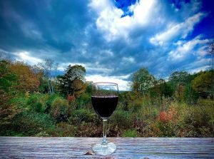 Glass of wine on table, at The Summit Winery