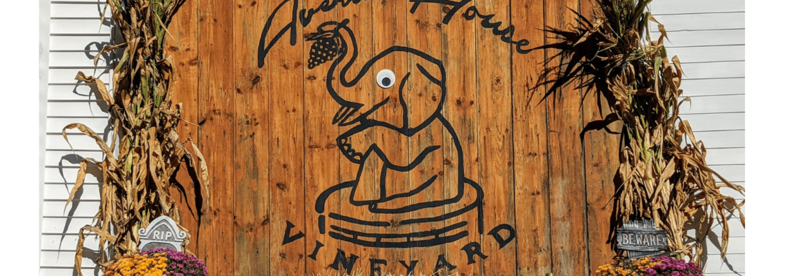 Averill House Vineyard