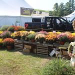 Cheshire Floral Farm display