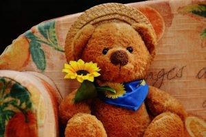 Teddy bear with flower
