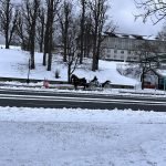Horse and buggy on Lake Drive in Lake George