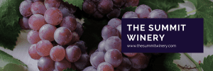 The Summit Winery Banner