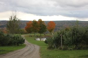 The small pond at Alyson's Orchards