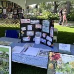 Nonprofit at the art show