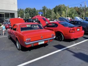 Ford Mustangs Unite