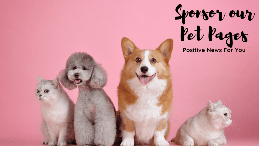 Sponsor our Pet Pages