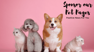Sponsor our Pet Pages