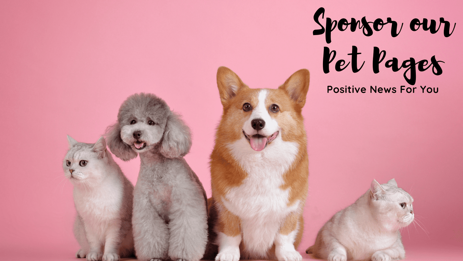 Sponsor our Pet Pages