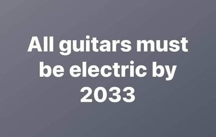 All guitars must me electric by 2033