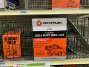 Catch and release for cats
