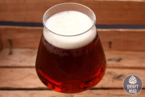 Barley Wine Beer in a Glass