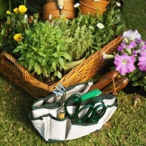 Greening your space