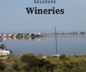 Delaware Wineries
