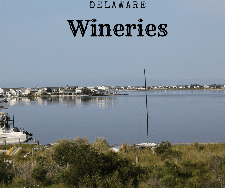 Delaware Wineries