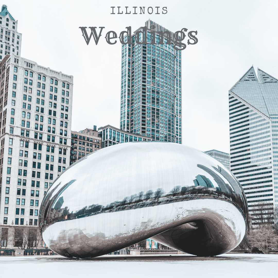 Illinois Weddings Cloud Gate