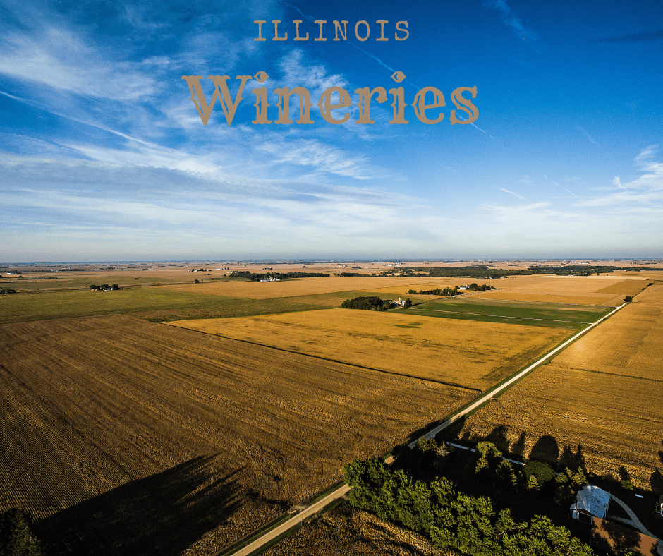 Illinois Wineries Golden Fields