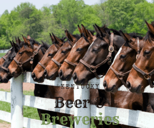 Horses with heads over the white fence-