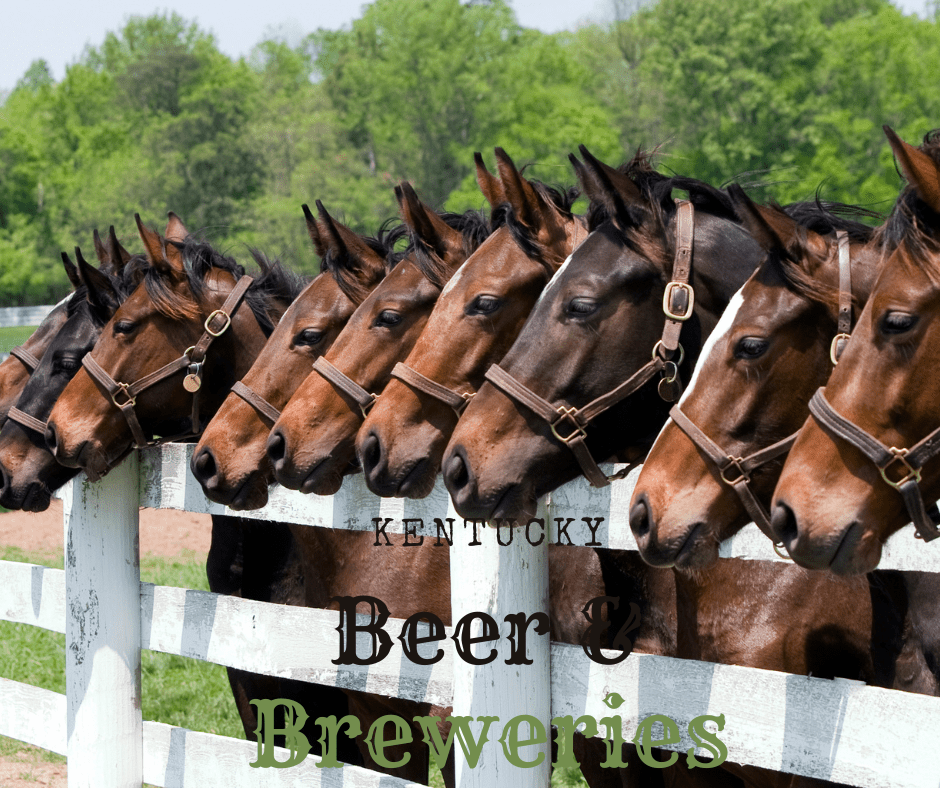 Horses with heads over the white fence-