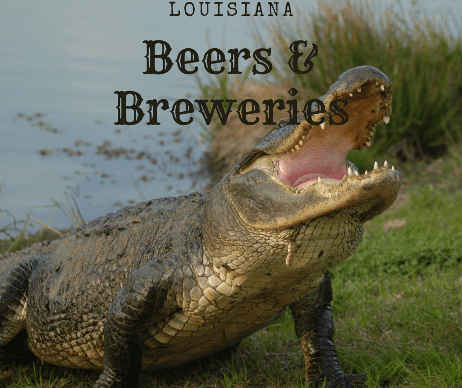 Alligator by the waters. Louisiana Beers & Breweries