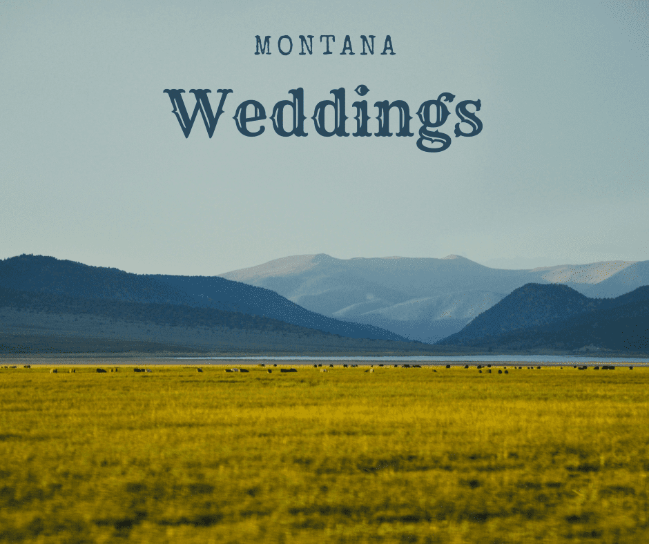 Fields and Mountains-Montana Weddings