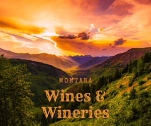 Montana Wines and Wineries-Sunlit valley