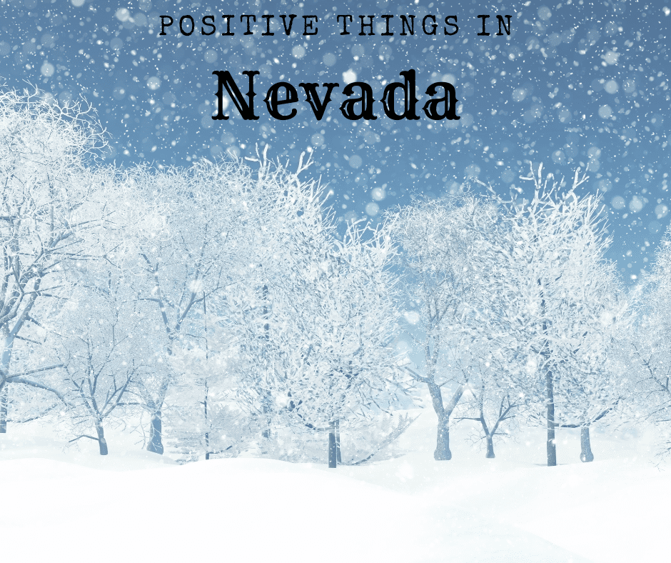 Snow on the trees. Positive Things in Nevada