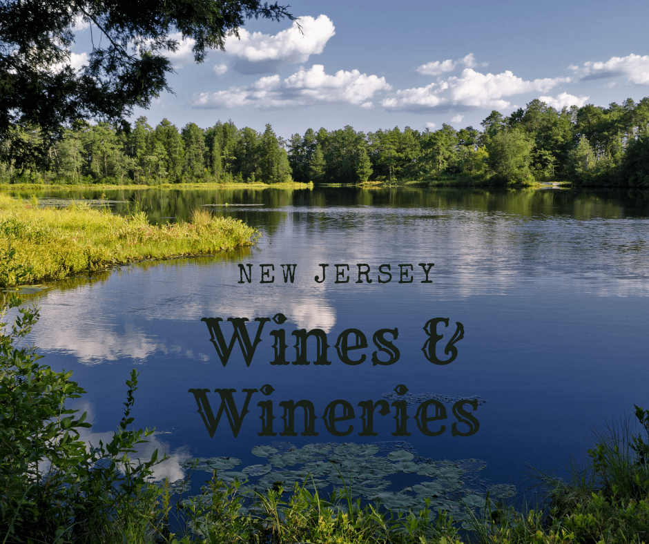 Looking across the lake into the woods-Sipping Through the Garden State: A Journey into New Jersey’s Wine Country