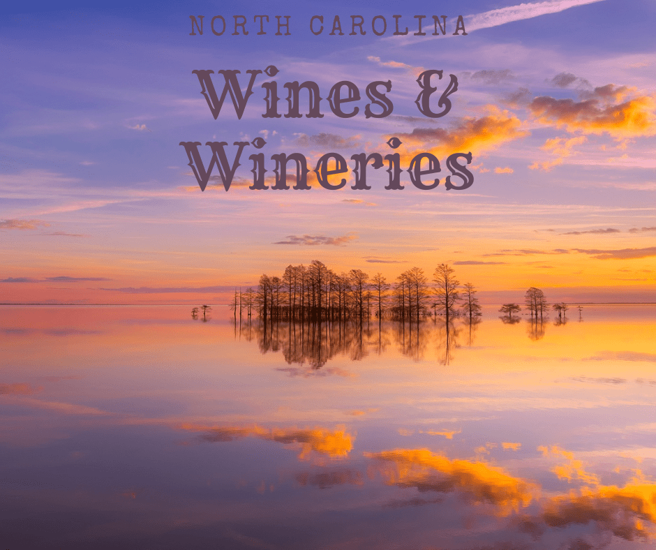 Trees in the river-North Carolina Wines & Wineries