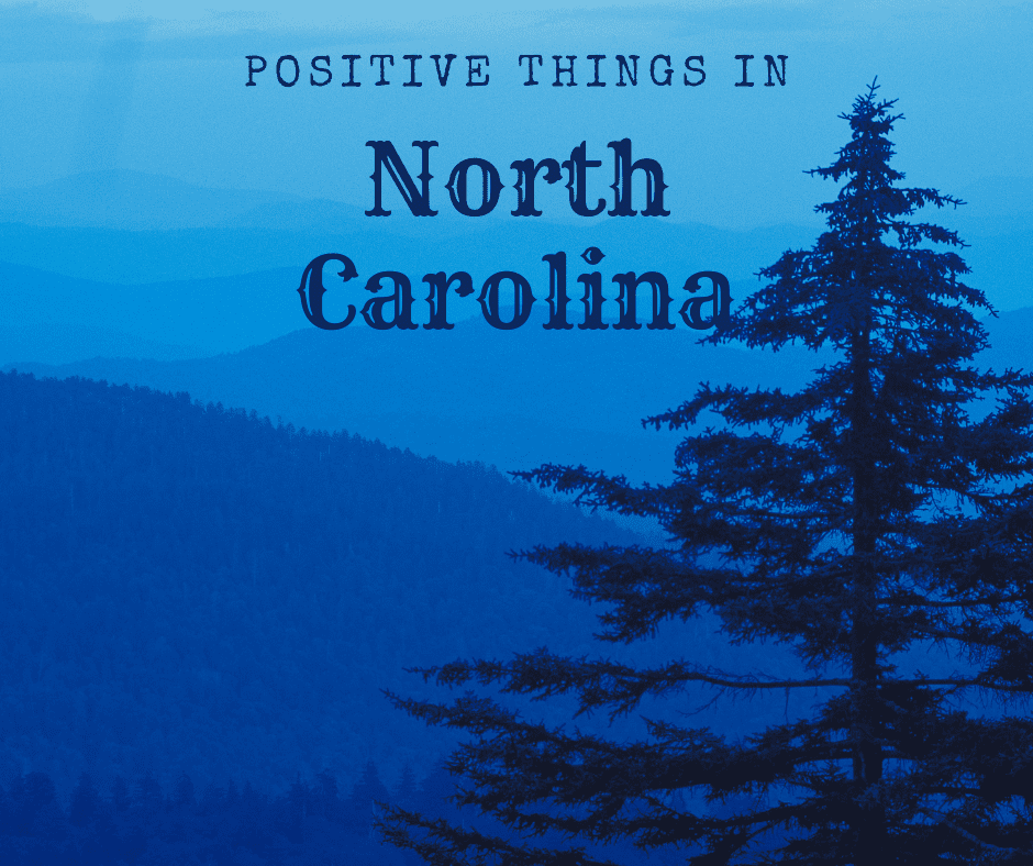 Fir tree against Blue Mountains-Positive Things in North Carolina
