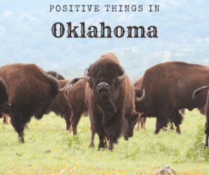 Buffaloes-Positive Things in Oklahoma