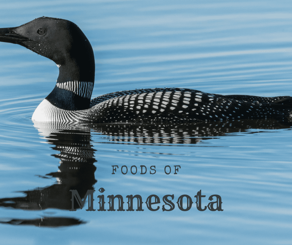 Foods Of Minnesota-Loon on the water