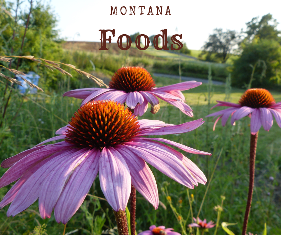 Montana Foods-Flowers in the meadow