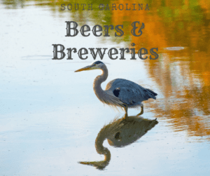 South Carolina Beers & Breweries-Bird in the water