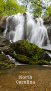 Foods Of North Carolina-Waterfall