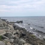 The rugged beauty of the rocky edge along the water.