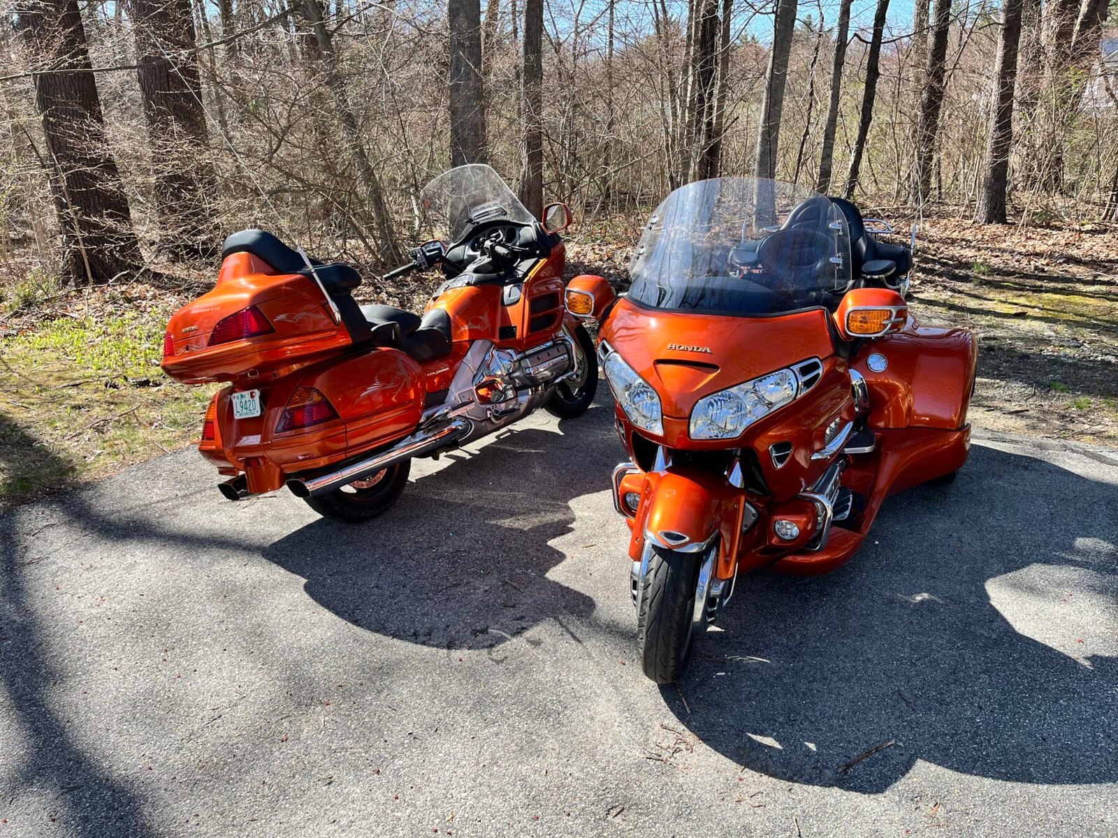 Twin Goldwings