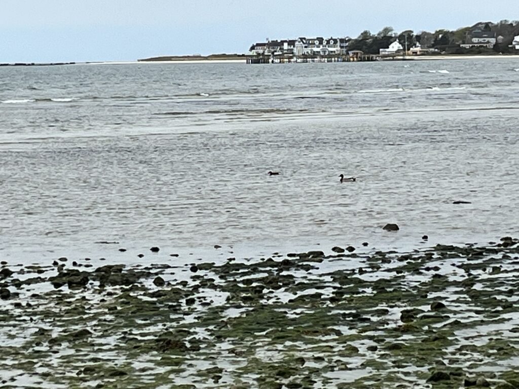 Keyes Beach