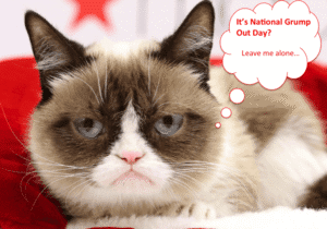 National Grump Out Day Cat
